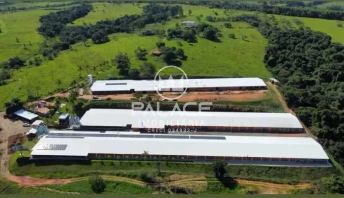 fazenda à venda em zona rural, conchas 60500m²