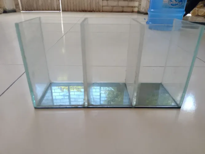Aquário beta com três compartimento em ótimo estado só 20 reais ZAP *5