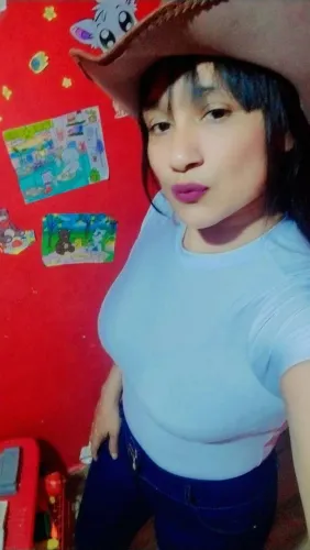 Diarista 