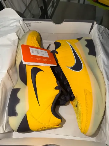 Tênis Nike Leblon Witnees IX
