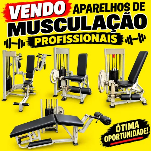 Aparelho musculação profissional