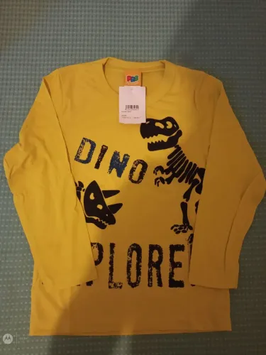 Pijama Infantil Menino Estampa de Dinossauro Tamanho 4