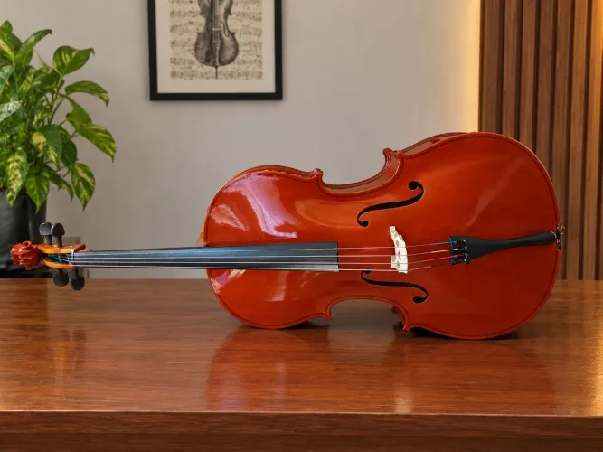 Violoncelo 4/4