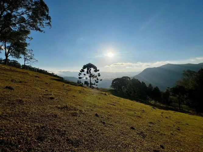 Terreno à venda - 11.000 m² em São Bento do Sapucaí (Bairro Paiol Grande)