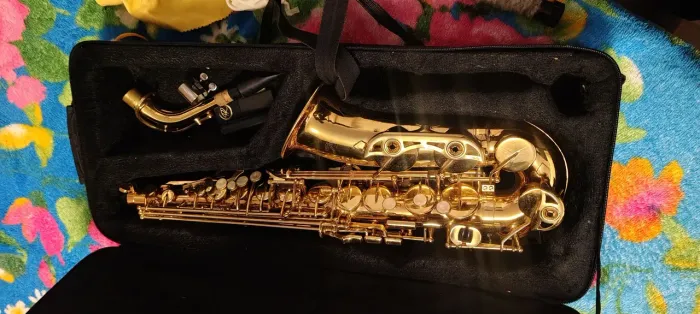 Saxofone Alto - Shelter