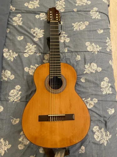 Violão Sete Cordas DSouza, madeiras nobres, captação profissional 