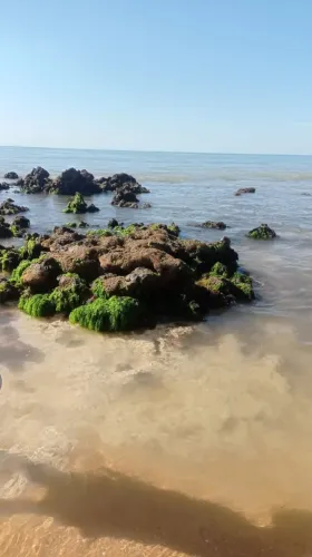 Excelente terreno com vista para o mar