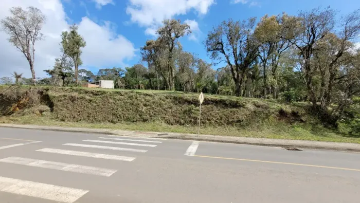 Terreno com 540m² em rua Asfaltada / Centenário / São Bento do Sul / SC