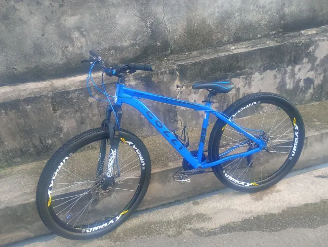 Bicicleta aro 29