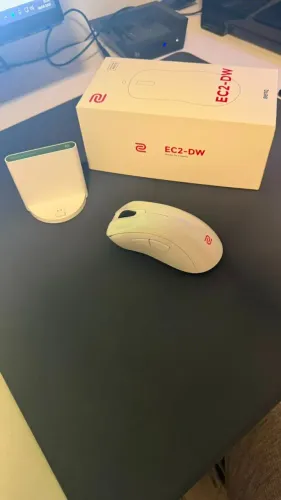 Mouse gamer Zowie EC2-DW White