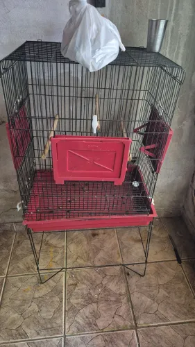 Vende-se essa linda gaiola