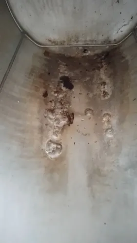 Autoclave resistência queimada