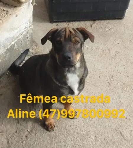 Doação 