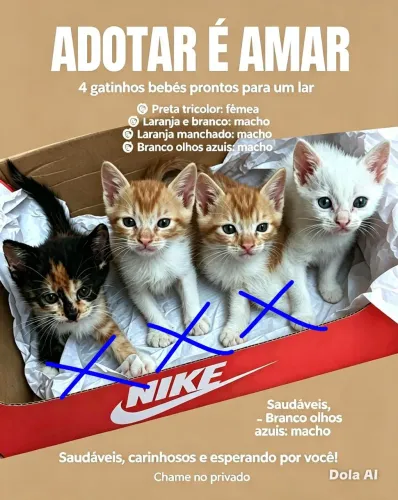 ADOTAR É AMAR GATINHOS LINDOS