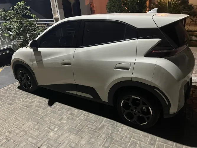 BYD Dolphin Mini (Elétrico) 2026