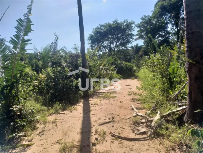 Fazenda pra criaçao de gado da regiao de Minaçu-GO Lago com 3km de extensão, 407 Hectares