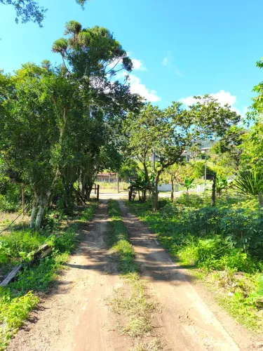 Terreno de Grande Porte com Viabilidade Residencial e Comercial