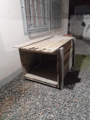 Casinha de cachorro 