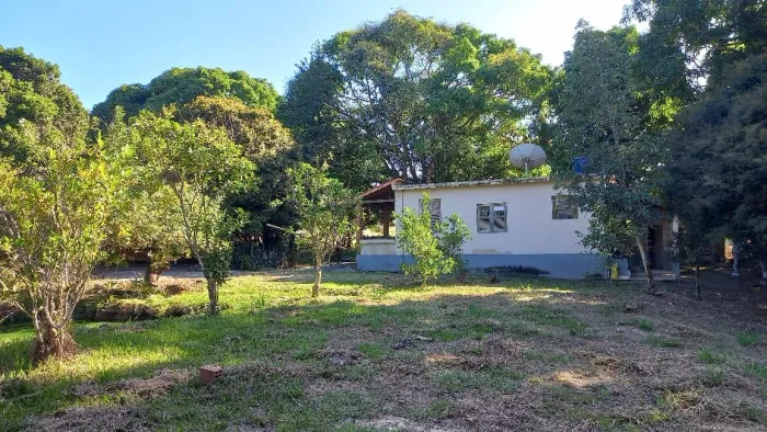 Sítio - Leopoldina/Palmeiras
