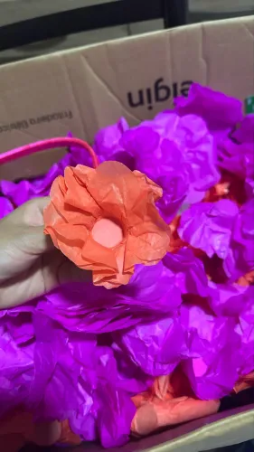 Caixa com mais de 200 forminhas para doce