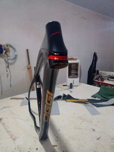 Quadro 29 carbono 