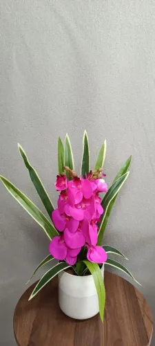 Arranjos com orquídeas 