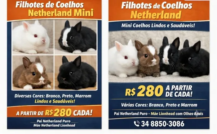FILHOTES