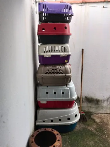 Vendo equipamentos para banho e tosa