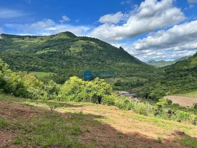 TERRENO RURAL COM 10 HECTARES EM SANTA LÚCIA DO PIAÍ