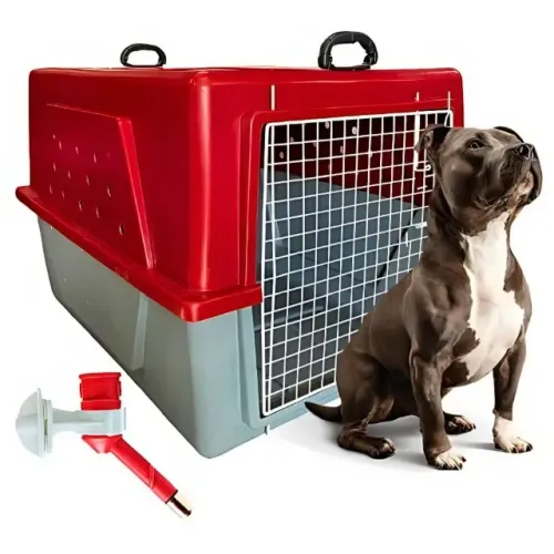 Caixa de Transporte Cachorro Numero 5 Várias Cores