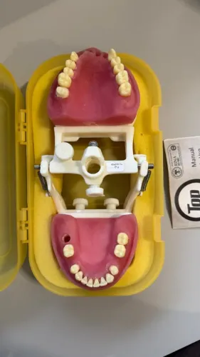 Manequim Pronew para Periodontia e Cirurgia - Seminovo