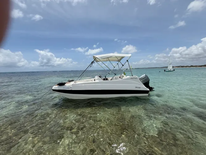 Lancha Flying fish 16 motor 60hp ZERO KM 4 anos de garantia barco