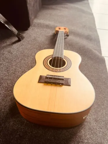 Cavaquinho elétrico