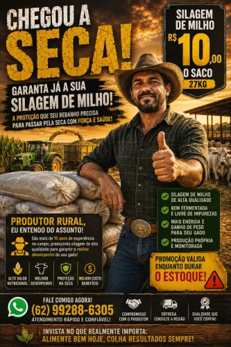 Silagem de milho ensacada