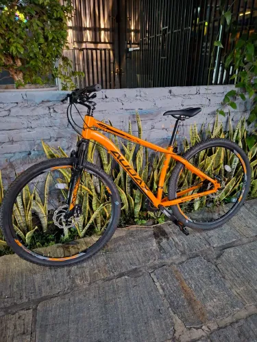 Bicicleta Audax Aro 29