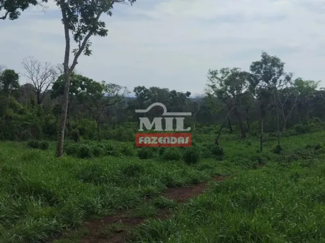 Fazenda 170 alqueires (822,80 hectares) Dois Irmãos - To