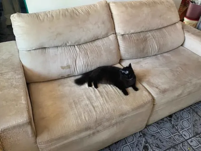 Sofá Retrátil e Reclinável - 2,20m