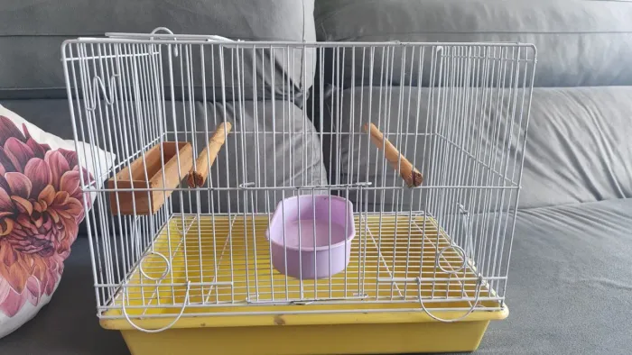 Gaiola para pássaros pequenos 