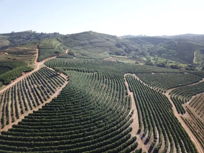 fazenda de café produtiva de 166,66 alqueres (399,984 hectares) no Município de