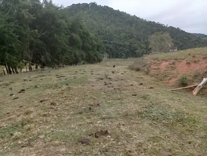 Fazenda com 369 hectares