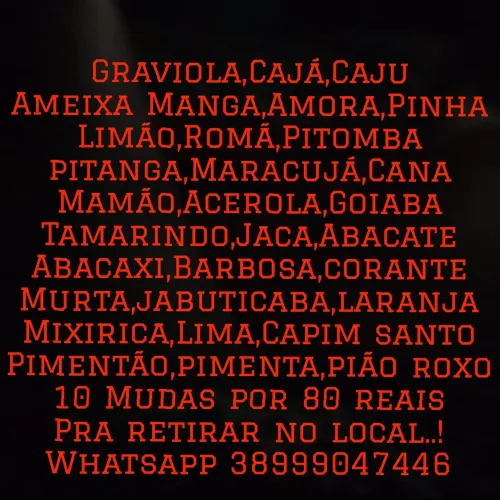 10 mudas por 80 reais