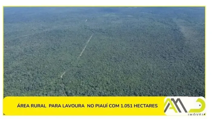 Fazenda á venda para lavoura com 1.000 hectares no Piauí, ótima de logística, topografia.