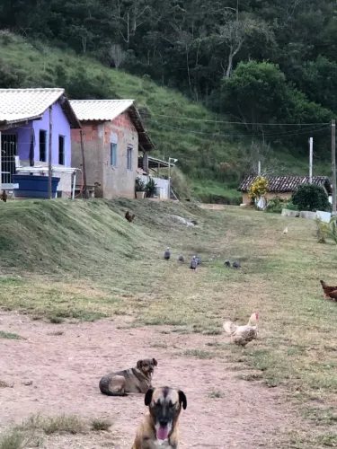 Vendo sítio com 3 casas