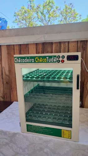 Chocadeiras
