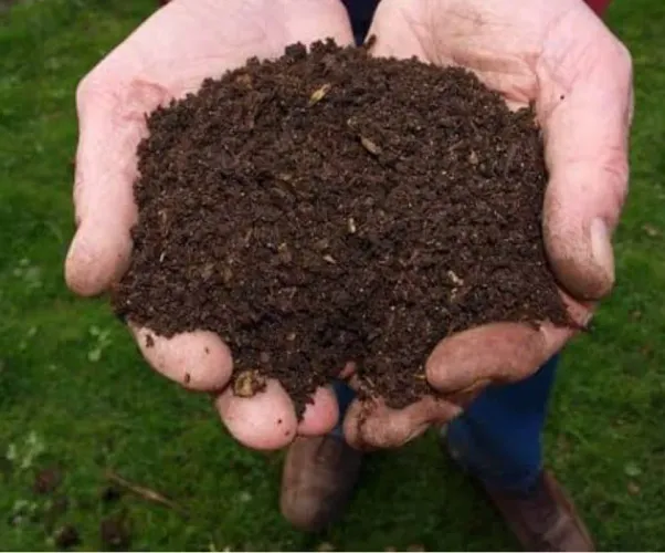 Terra preta para plantio