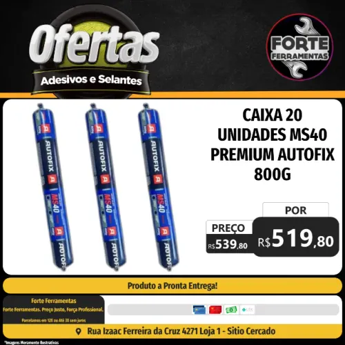 Caixa 20 Unidades MS40 Premium Autofix 800g