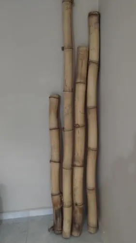 Bambu decoração