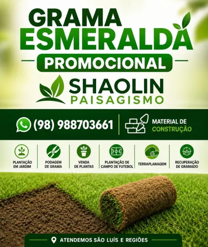 Grama esmeralda promoção