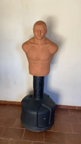 Bob pancada century