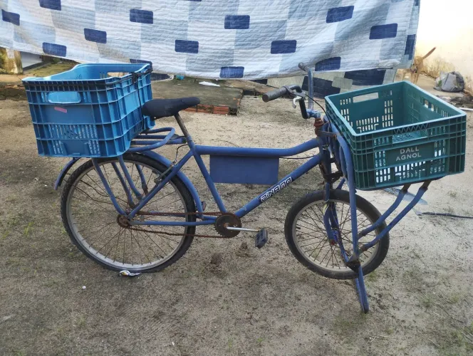 Bicicleta cargueira 